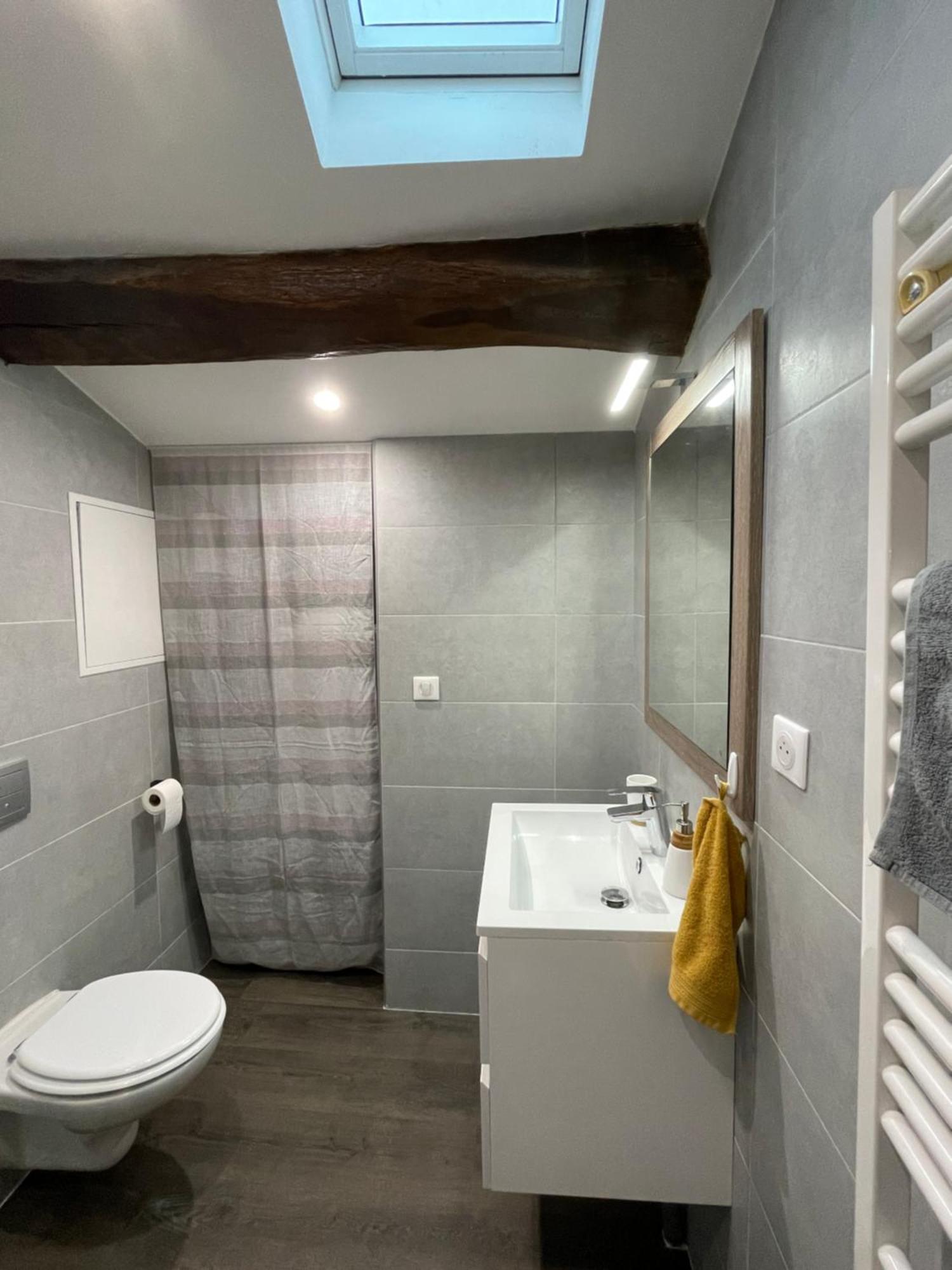 Chez Jean-yves Et Zoe - Le Saint Andre - Au Calme, Tres Propre, Proche Parkings, Clim Apartment